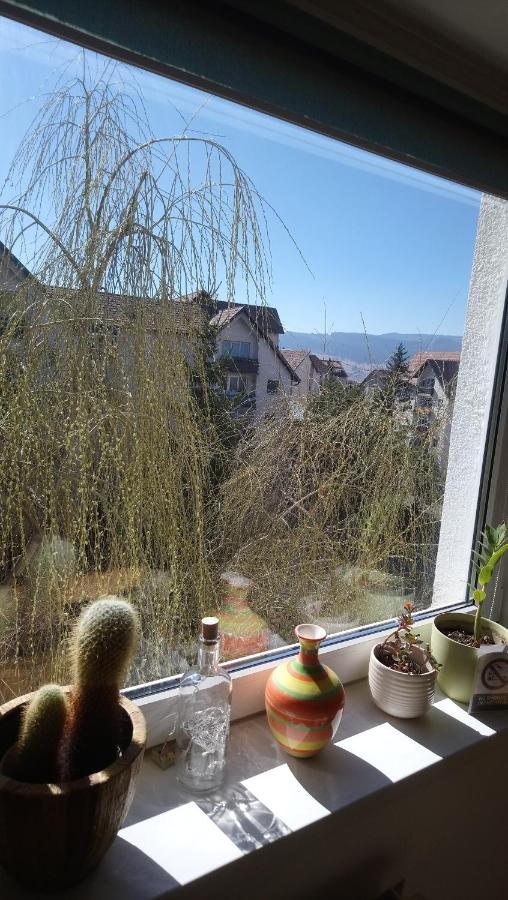 Apartamento Simple&comfortable Miercurea Ciuc Exterior foto